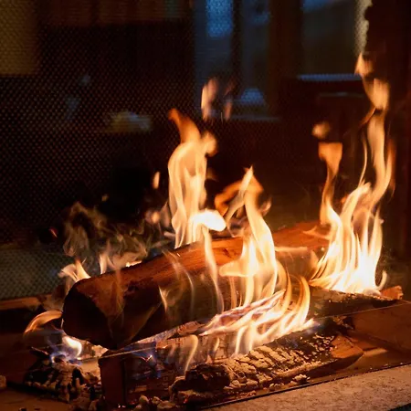 奥莫尼亚酒店 5* 采尔马特